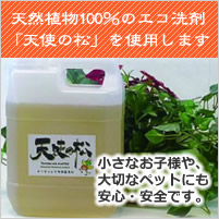 天然植物洗剤「天使の松」をハウスクリーニングに使用します